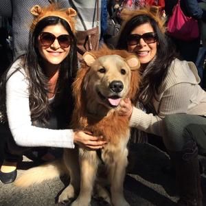 Meet your Posher, Fern